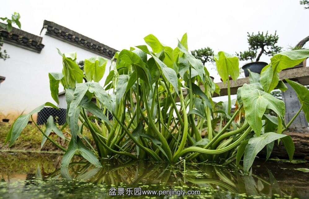 QQͼƬ20150628201420.jpg