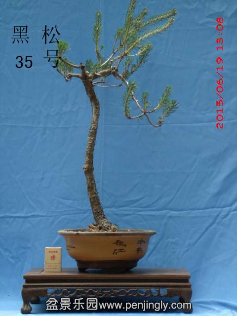GEDC0245.jpg