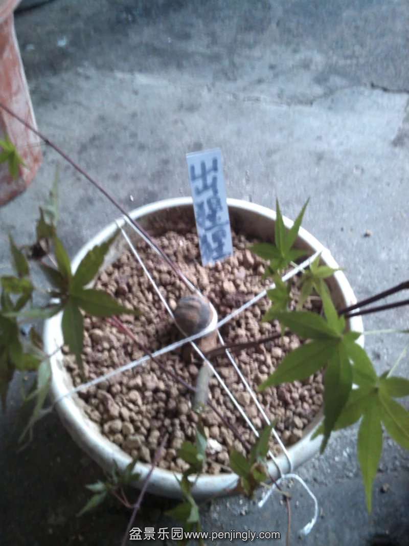 psb (14).jpg