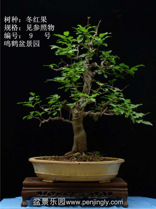 GEDC0647.JPG