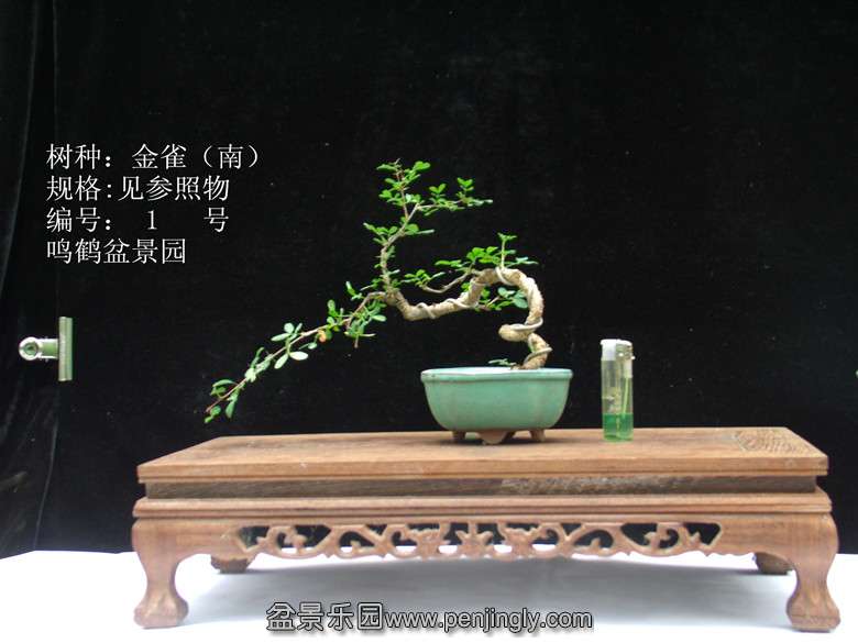 GEDC0864_.jpg