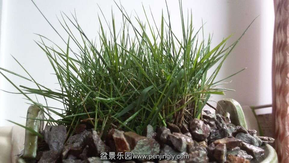QQͼƬ20150630080333.jpg