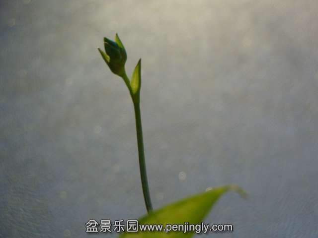 DSC01216.JPG