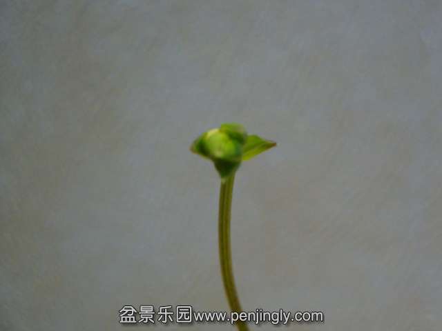 DSC01218.JPG