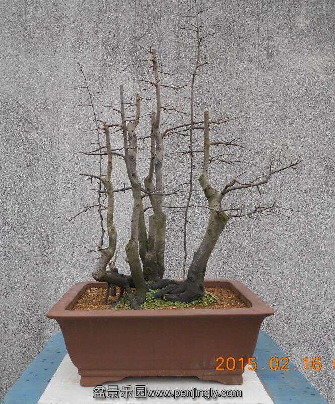 24ѻ׮4.png