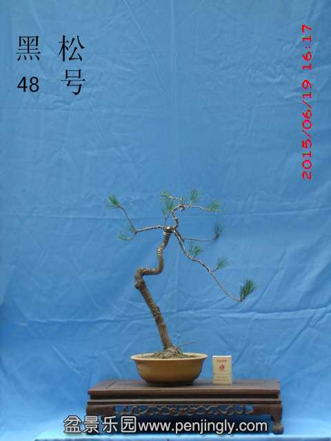 GEDC0273.jpg