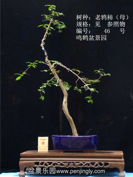GEDC0710.JPG