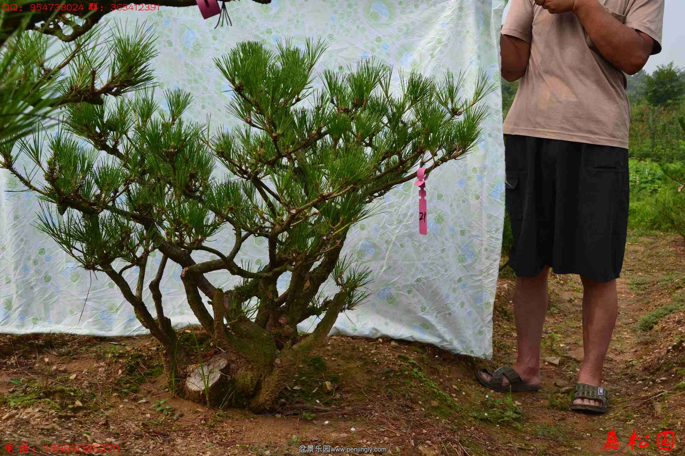 ��ŵ��� 041.JPG