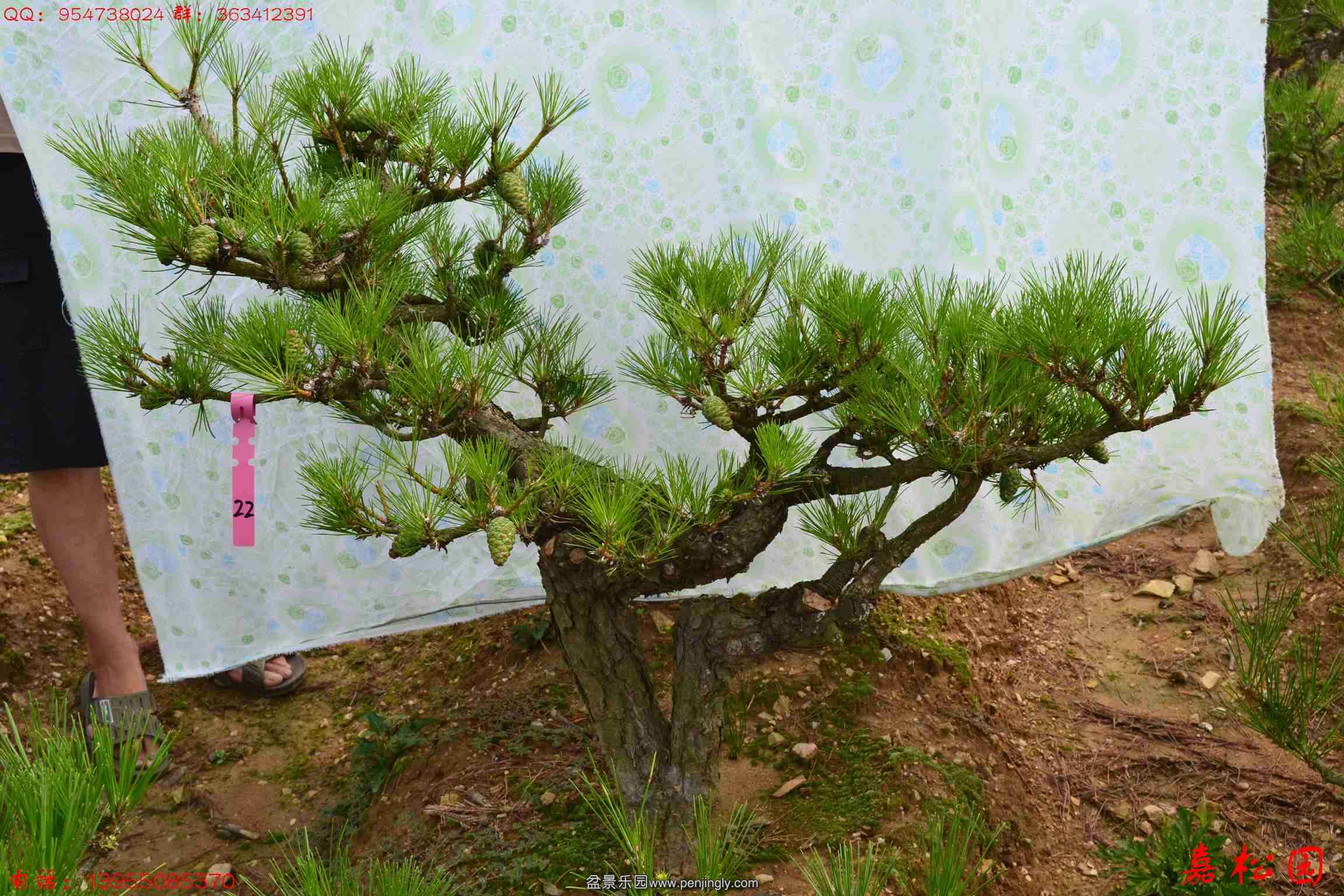 ��ŵ��� 044.JPG