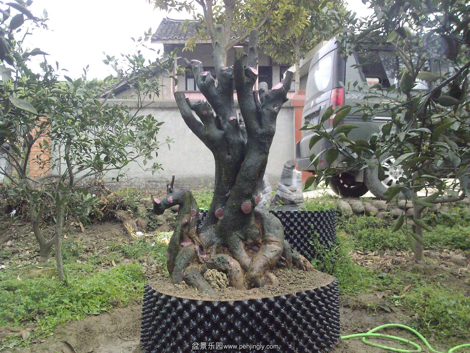 20140402174255.jpg