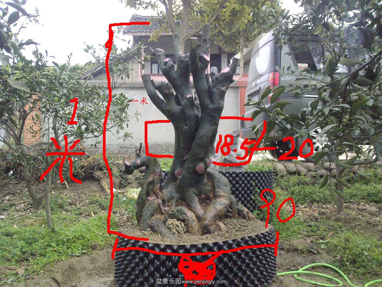20140402174255_.jpg