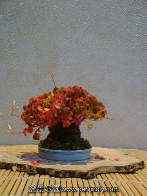 DSC01282.JPG