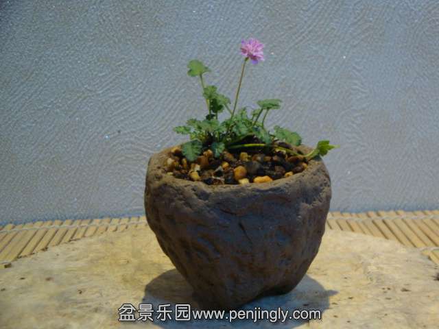 DSC01261.JPG