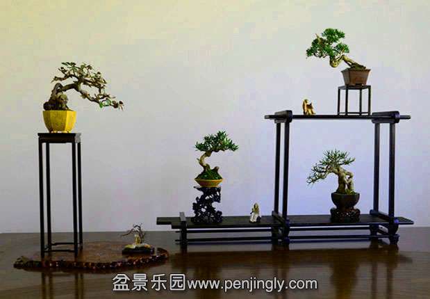 GGG_3403_ - .jpg