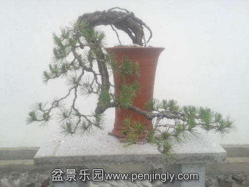 20150424_140841.jpg
