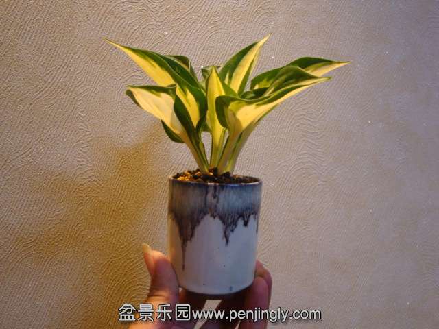 DSC01227.JPG