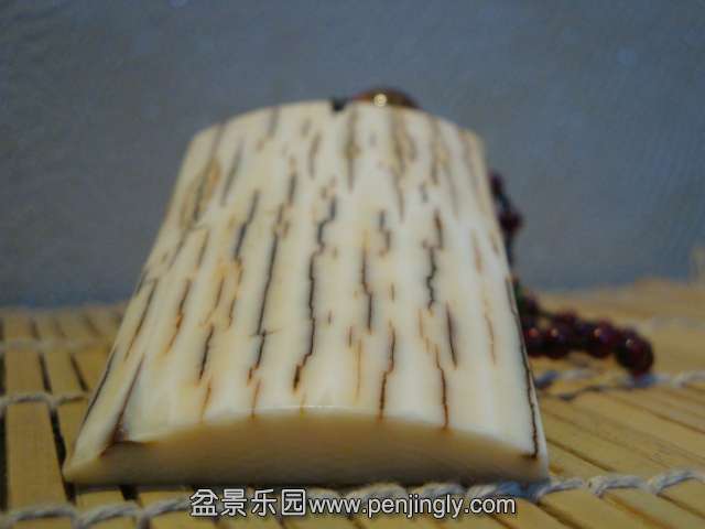 DSC01228.JPG