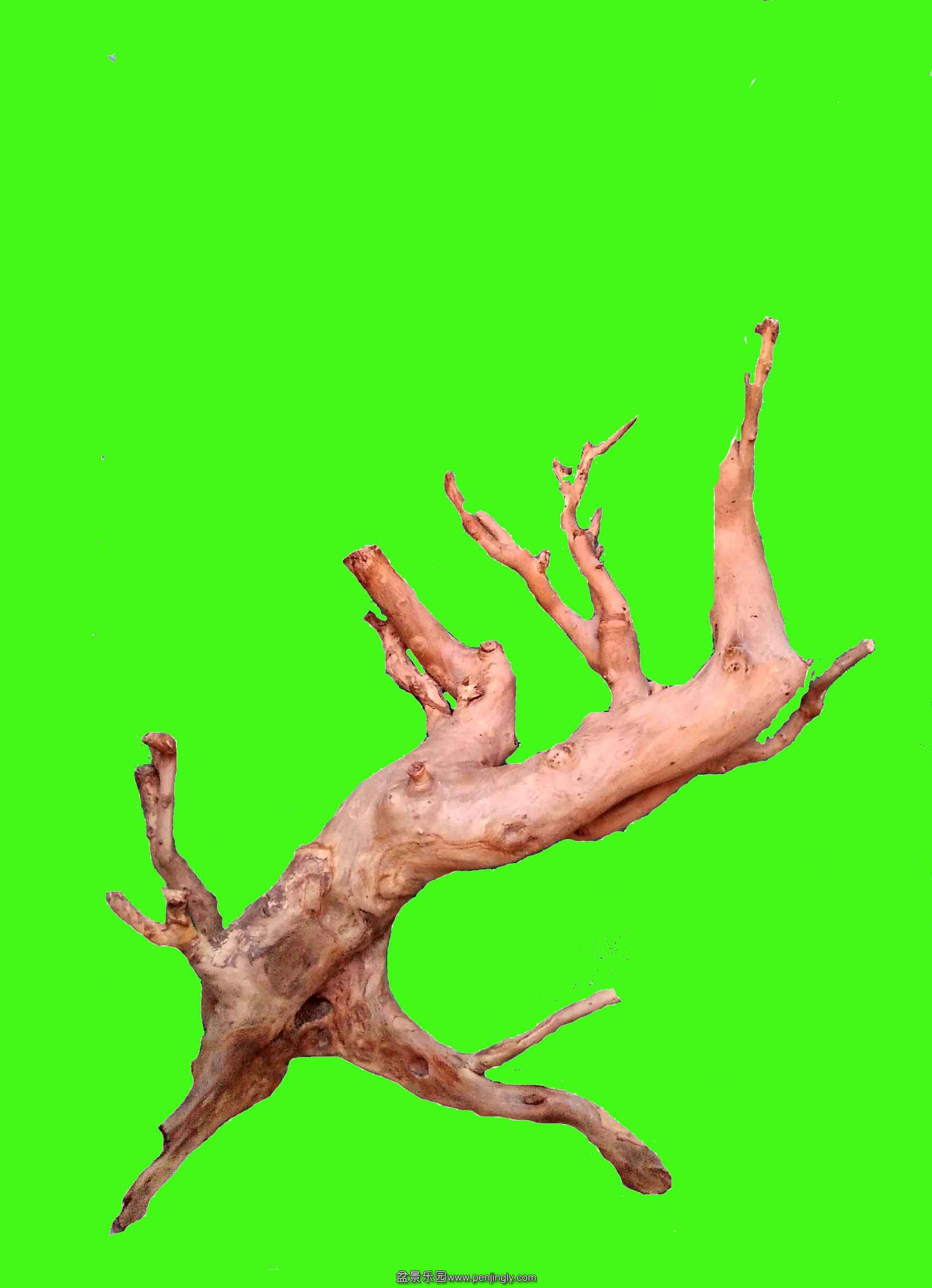 125.jpg
