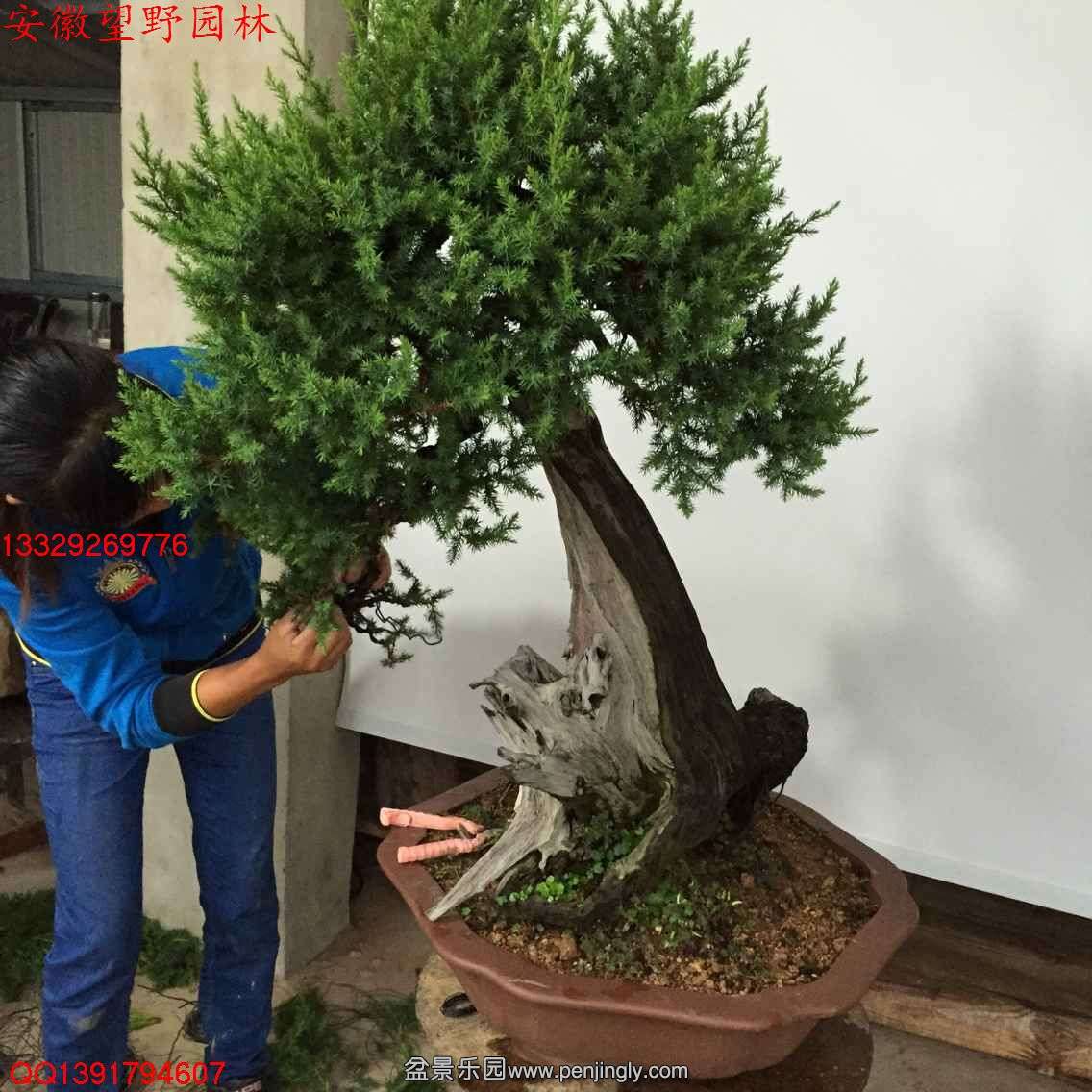 4A38099A7FF20FA628C3BD2871BC0564.jpg