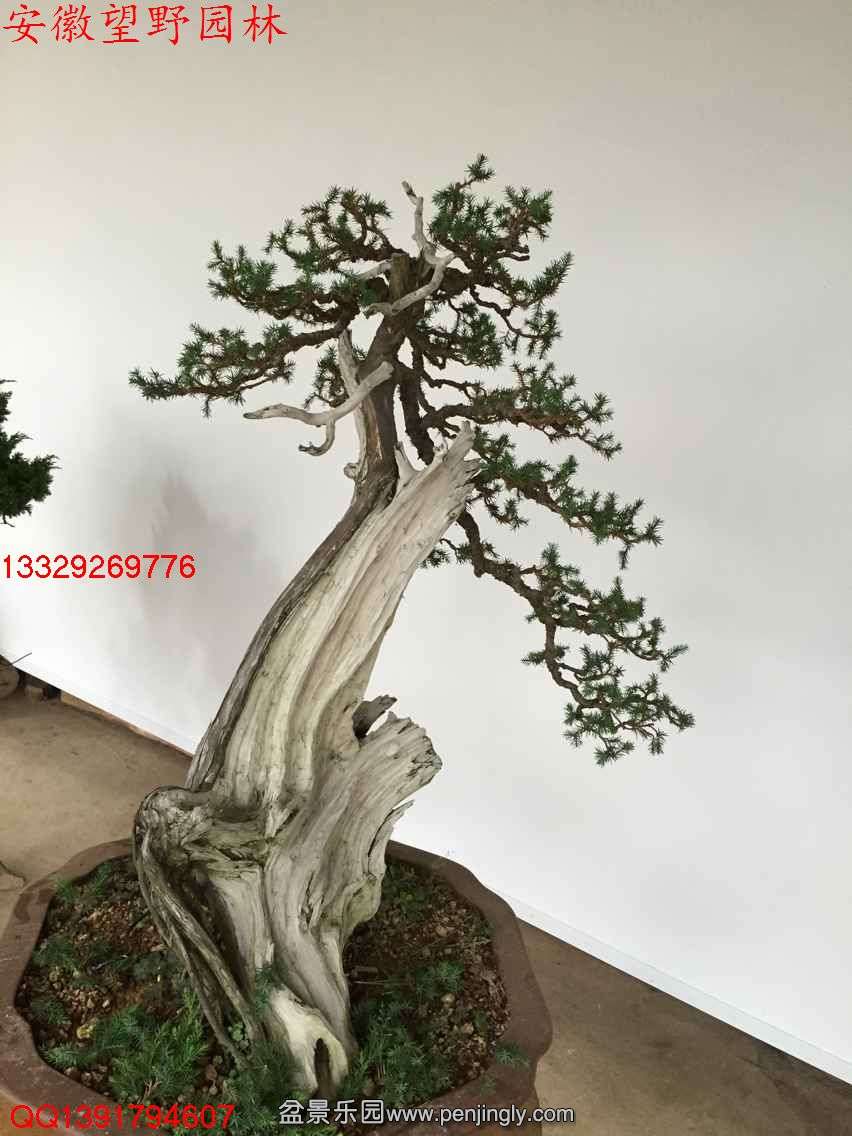 49C6D538FDB34A22808E0B0A9A6D5274.jpg