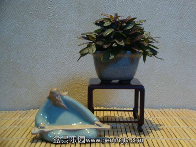 DSC01289.JPG
