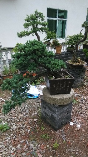 IMG_20130614_094143.jpg