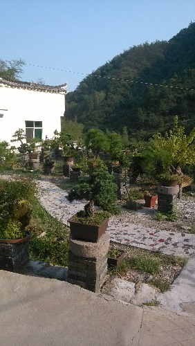 IMG_20130916_155346.jpg