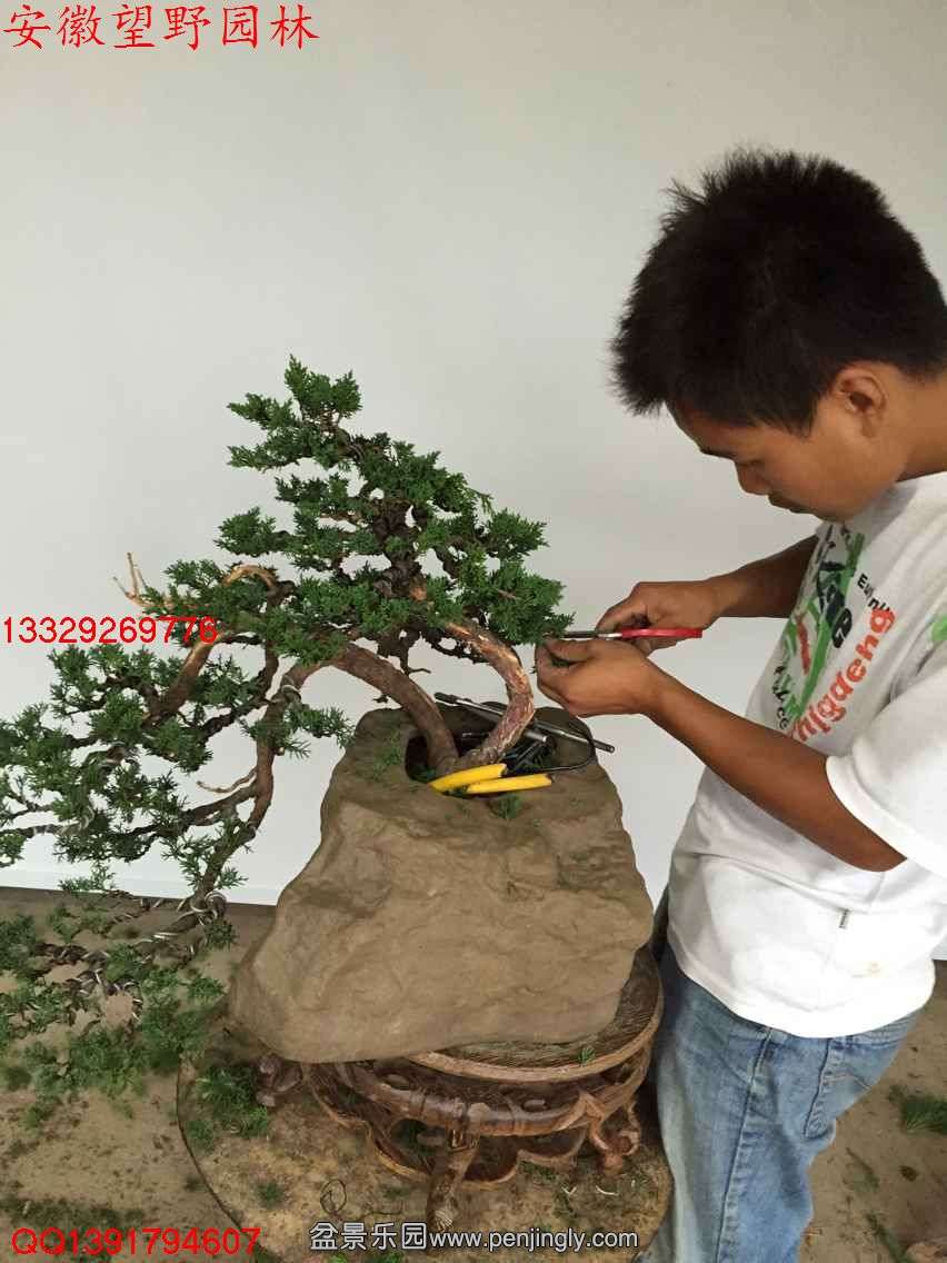 3D7681759DEC538D931393C9987A1022.jpg