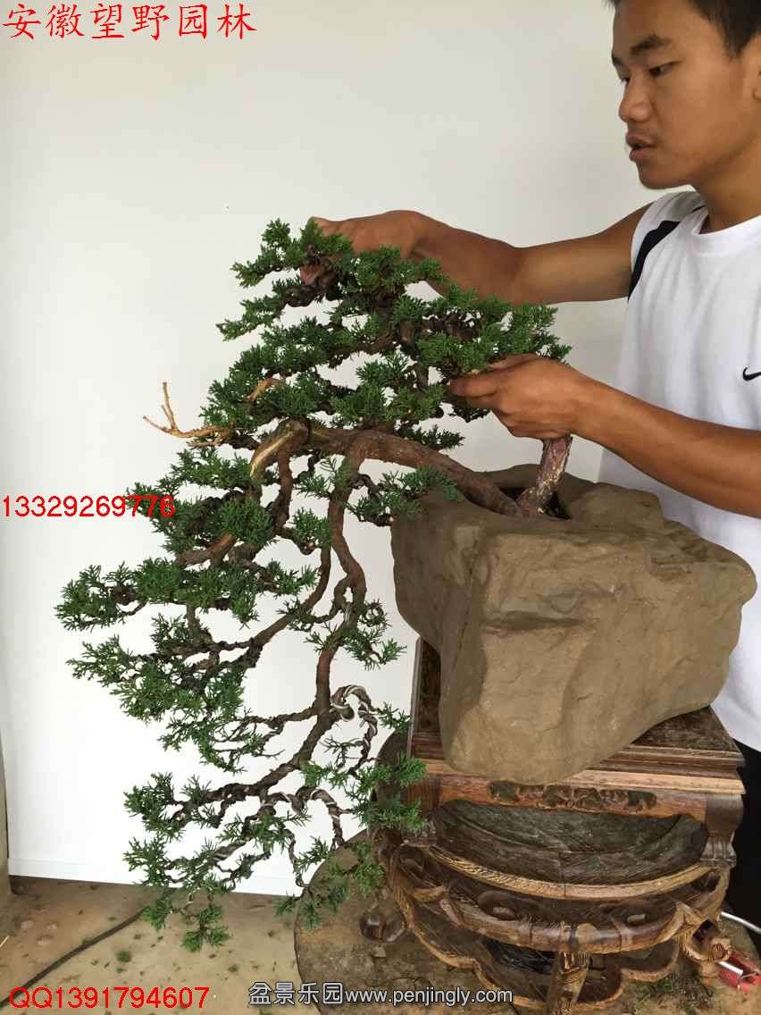 EFD0D1C16E823BE66D9CDA06819A59AA.jpg