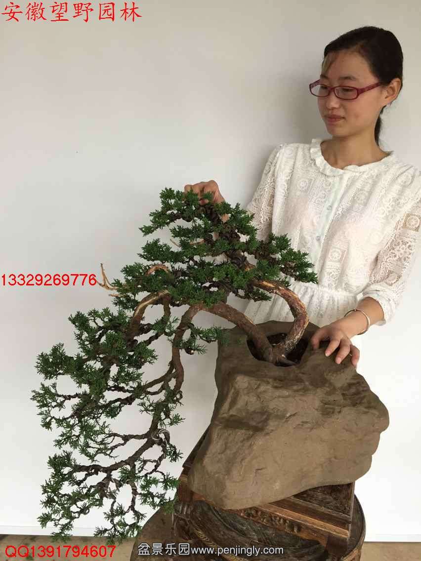 CCA5380304647FFA8739A2689E32C100.jpg