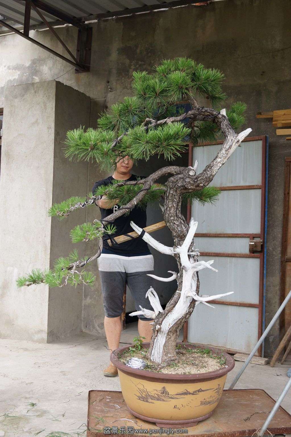 308.jpg