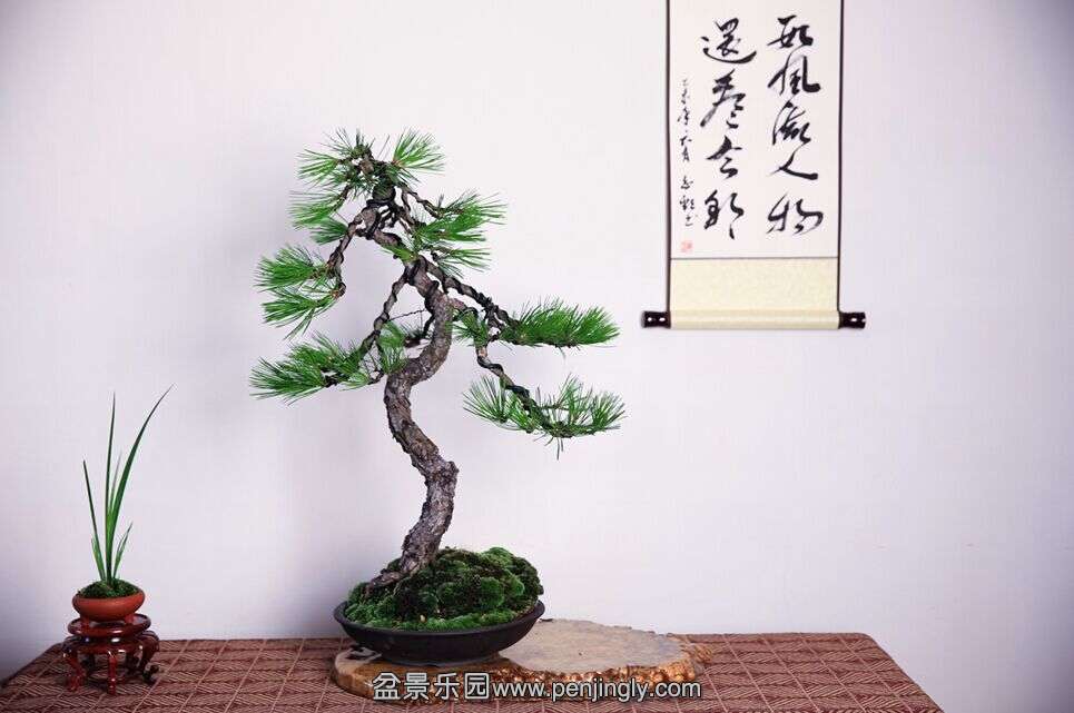 QQͼƬ20150711125821.jpg