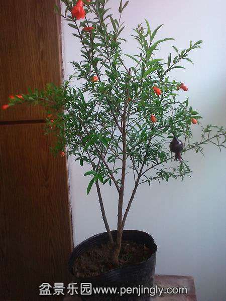 С IMG_20150711_091609.jpg