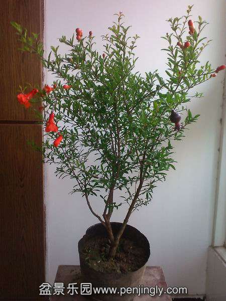 С IMG_20150711_091657.jpg