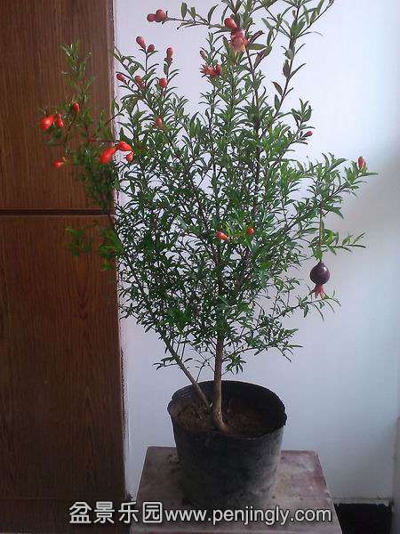 С IMG_20150711_091825.jpg
