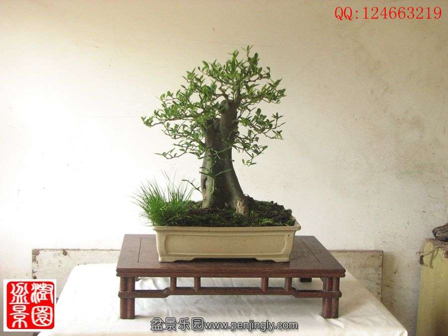 IMG_0884__.jpg