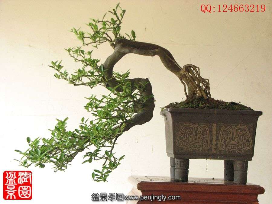 IMG_0936_.jpg