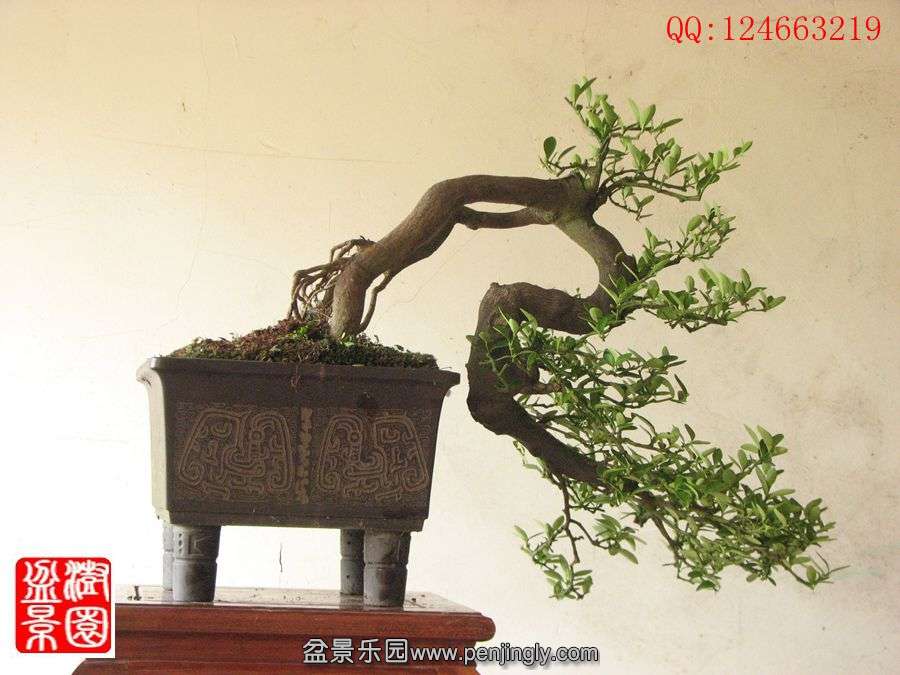 IMG_0940_.jpg