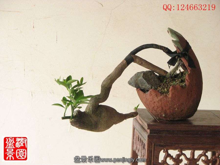 IMG_0943_.jpg