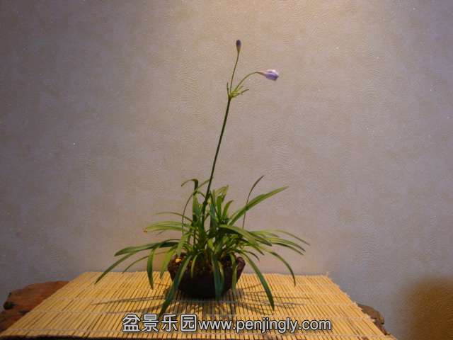 DSC01302.JPG