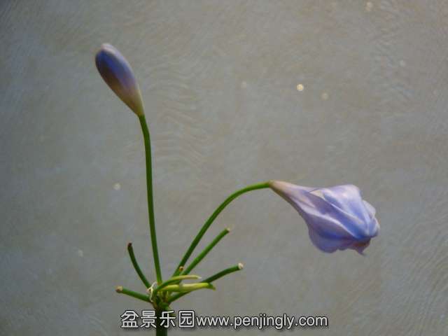 DSC01303.JPG