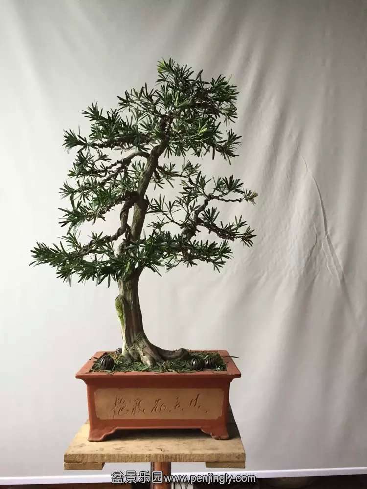 psb (22).jpg