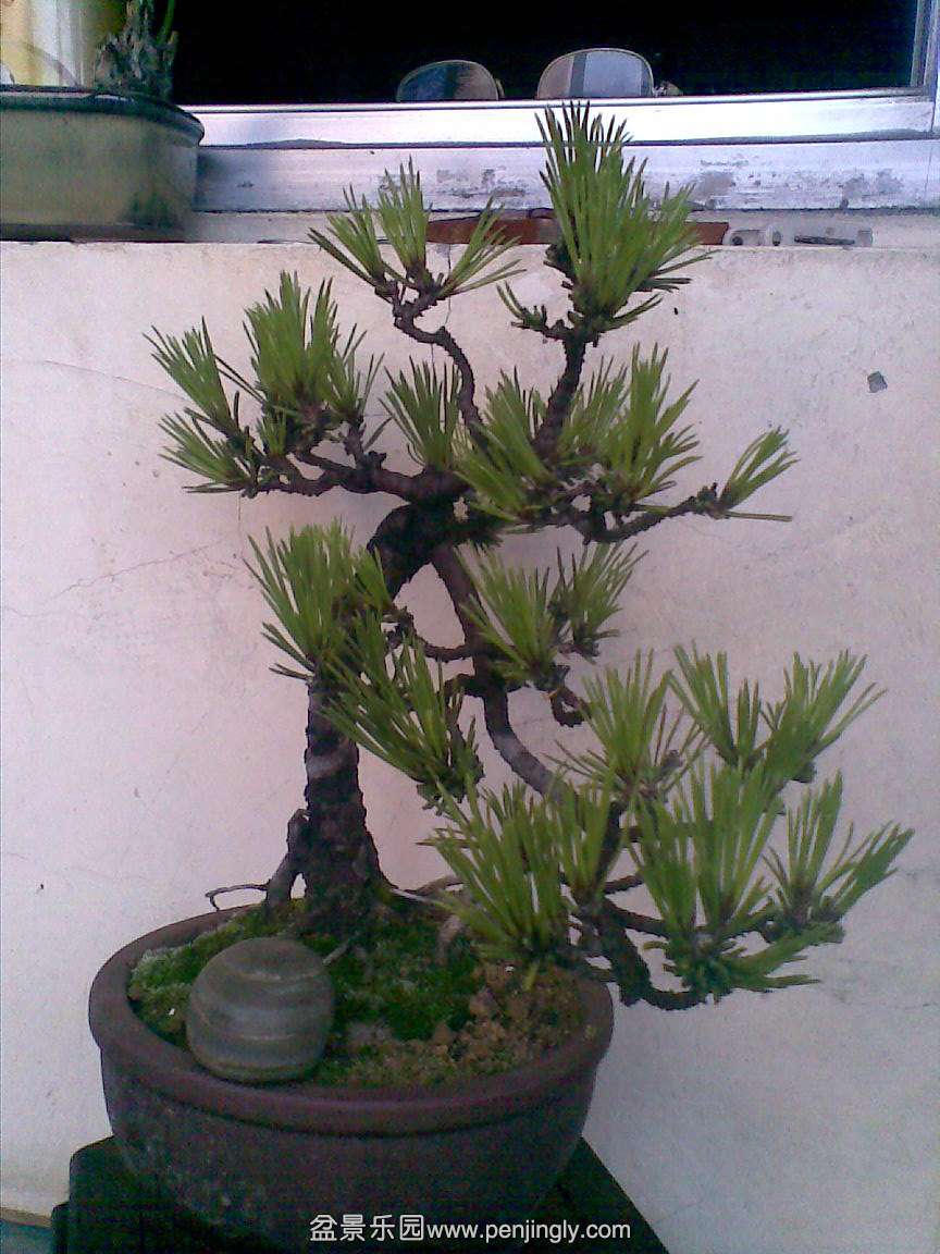 20150711(001).jpg