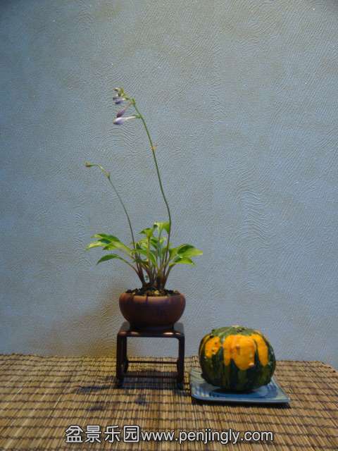 DSC01308.JPG