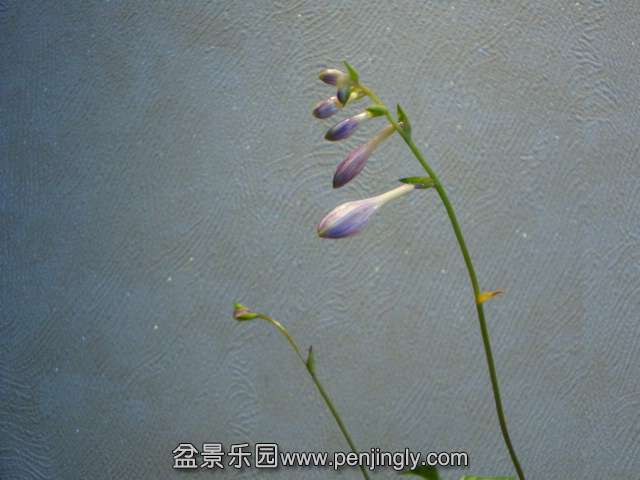 DSC01311.JPG
