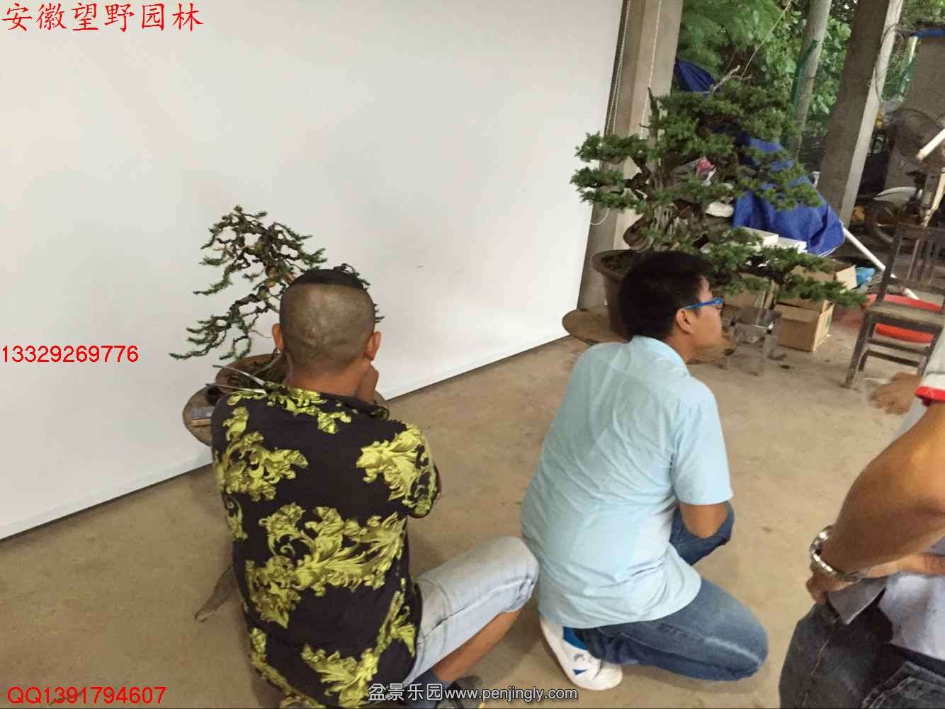7FA65ACCDE5361F12DBC03120E07FC47.jpg