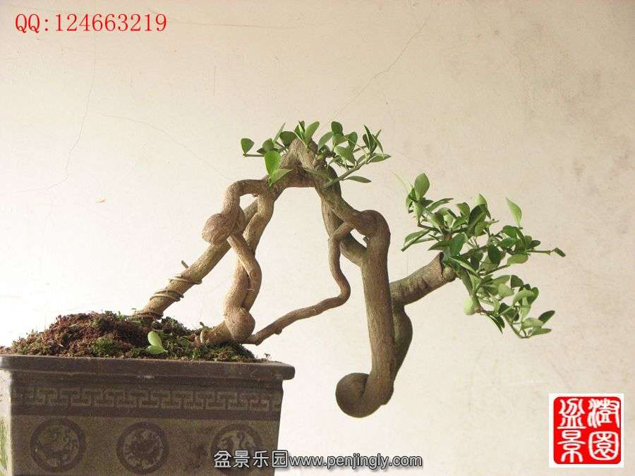IMG_0991__.jpg