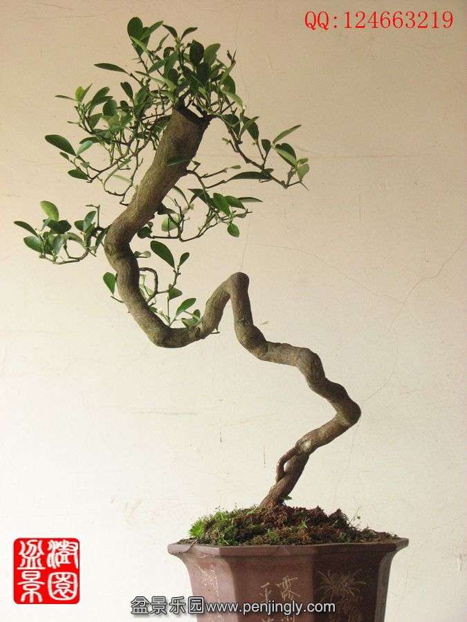 IMG_1014__.jpg