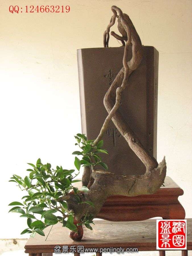 IMG_1056_.jpg