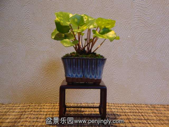 DSC01318.JPG